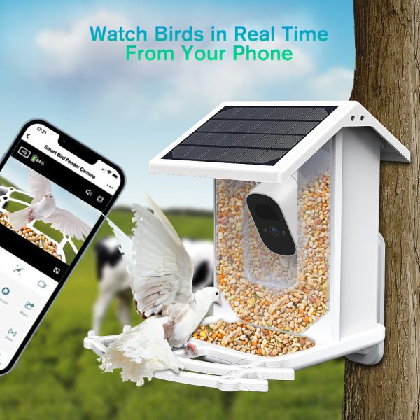 Smart Bird Feeder with Camera, ZUPOX Outdoor Bird Camera with 1080P HD, APP Notifications, with Wifi Connection & Solar Panel, White - 图片 3