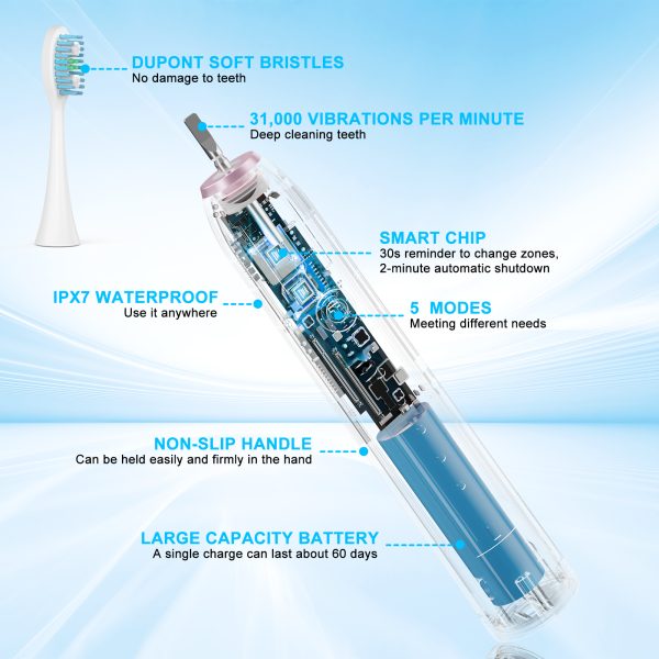 NEXPURE Electric Toothbrush, Sonic Electric Toothbrush for Adults with 4 Brush Heads,Rechargeable Toothbrush with 5 Modes, Smart Timer - 图片 2