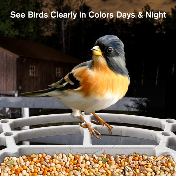 Smart Bird Feeder with Camera, ZUPOX Outdoor Bird Camera with 1080P HD, APP Notifications, with Wifi Connection & Solar Panel, White - 图片 2