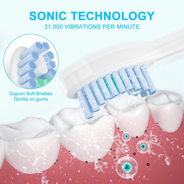 NEXPURE Electric Toothbrush, Sonic Electric Toothbrush for Adults with 4 Brush Heads,Rechargeable Toothbrush with 5 Modes, Smart Timer - 图片 3