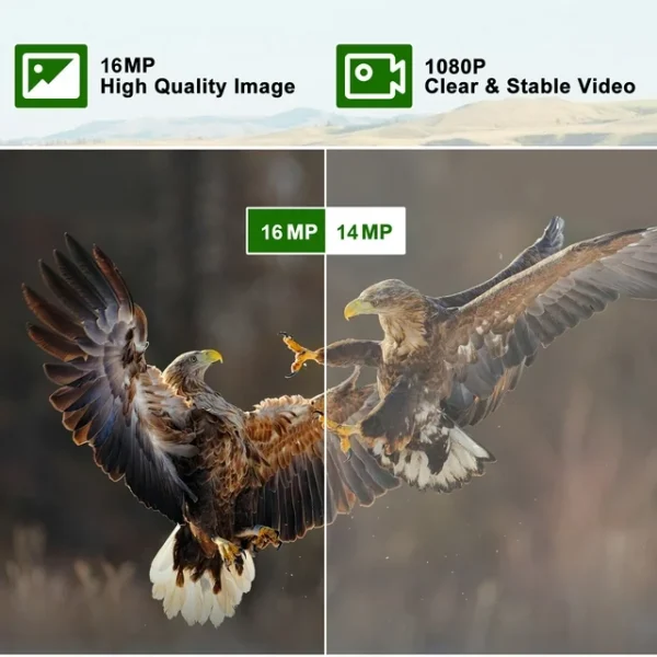 Mini Game Camera, 20MP 1080P HD Trail Camera with Night Vision, Wildlife Waterproof Hunting Camera Wildgame, Hunting Trail Monitors - 图片 3