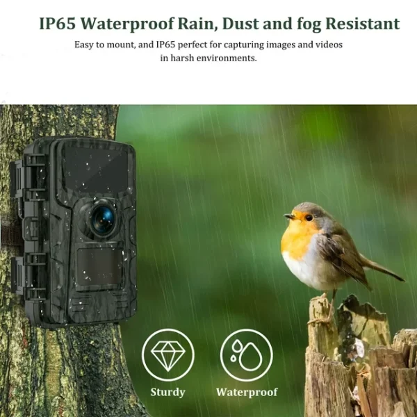 Mini Game Camera, 20MP 1080P HD Trail Camera with Night Vision, Wildlife Waterproof Hunting Camera Wildgame, Hunting Trail Monitors - 图片 2