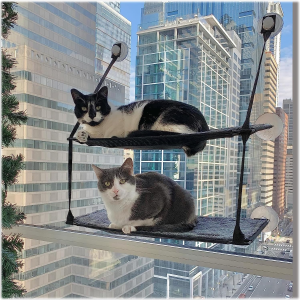 Cat Window Perch, Double Layered Cat Window Hammock, Window Mounted Cat Seat Cat Bed, Cat Hammock for Window, Black