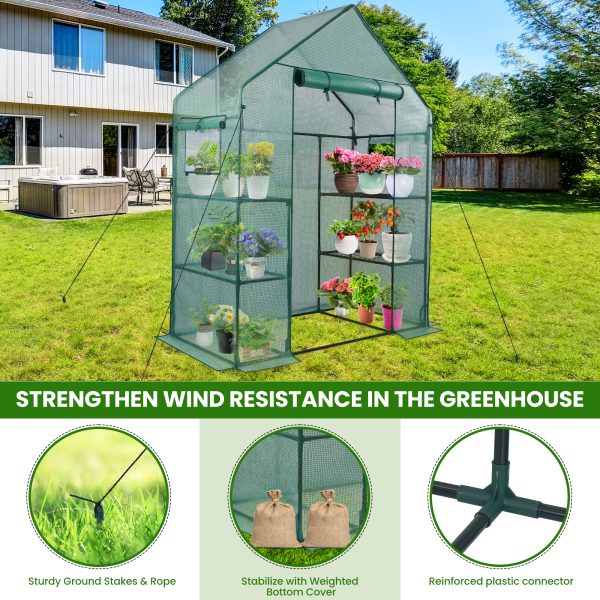 Greenhouse for Outdoors with Mesh Side Windows, 3 Tiers 4 Shelves Small Walk-In Green House Plant Stands Plastic PE Cover Outside Portable Warm House for Seedling Flowers Growing - 图片 3